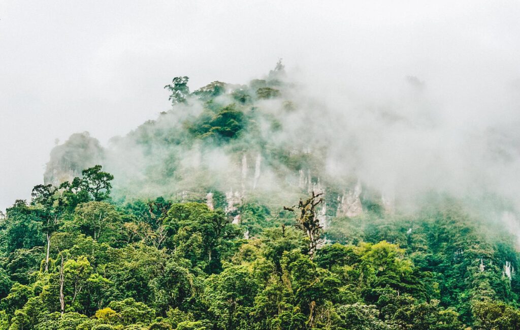 Reserva da Biosfera de Bosawas