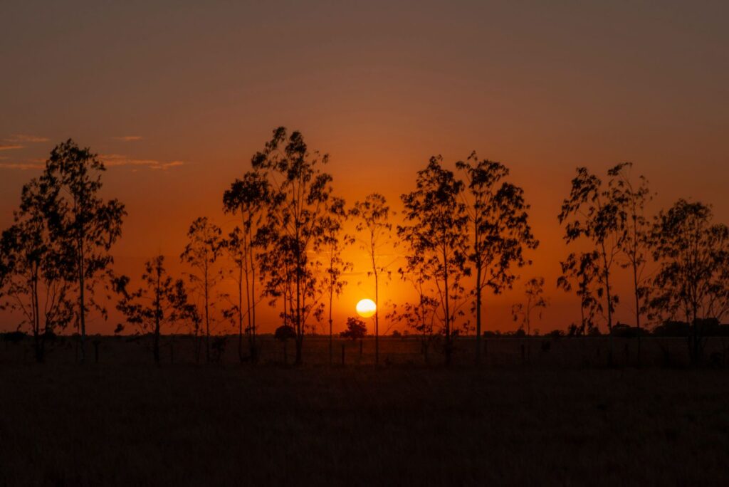 viagem viajar às planícies colombianas