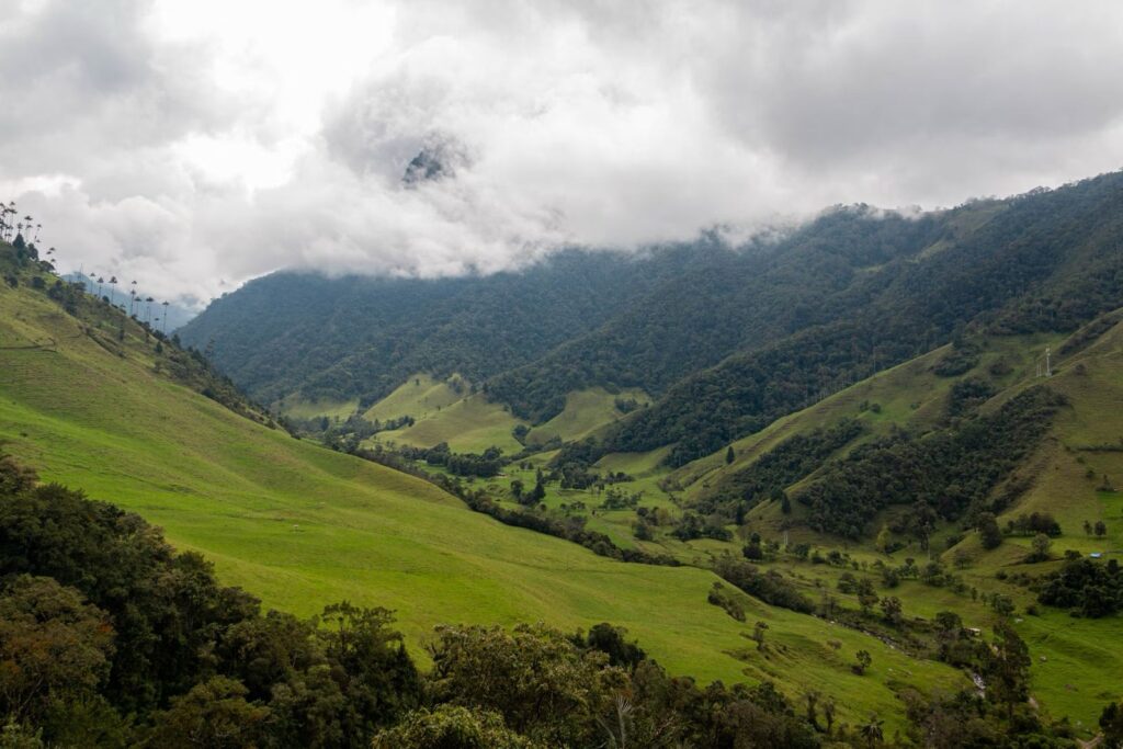 Viagem ao Vale do Cocora com amigos