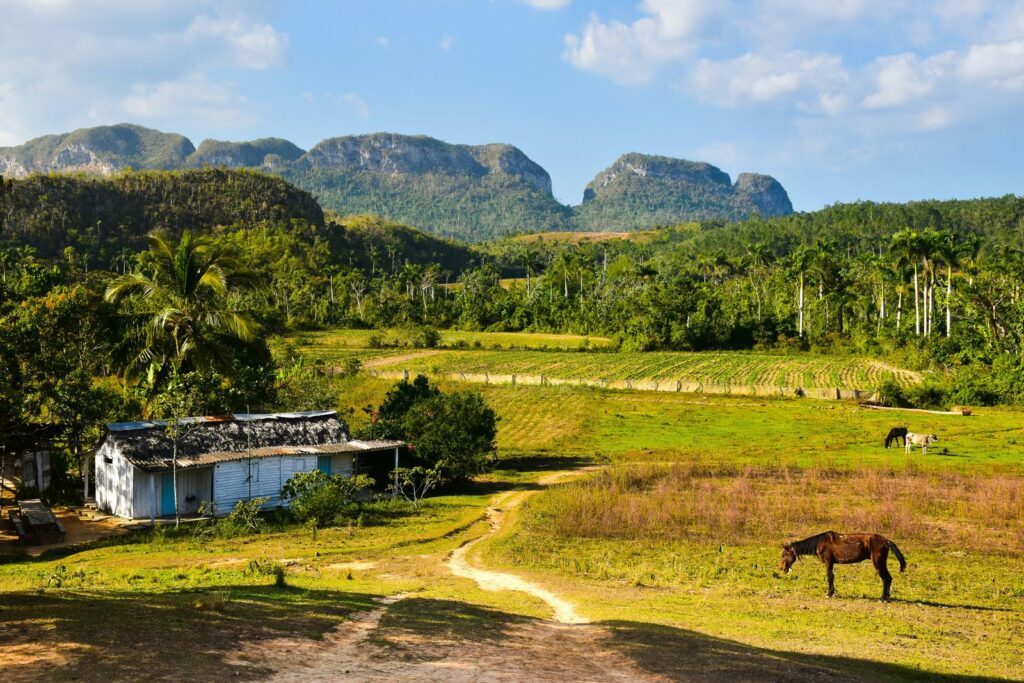 o que ver em Pinar del Rio