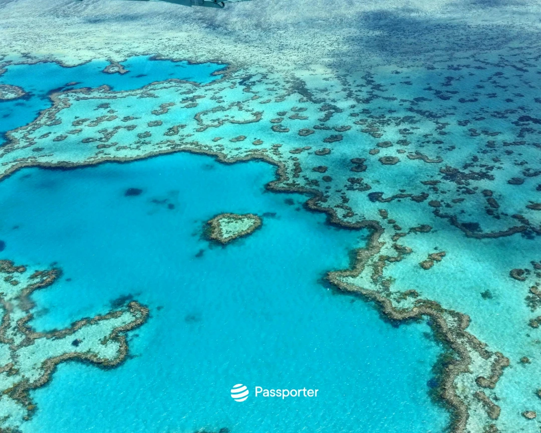 Coral Rapp Cómo planificar un viaje a la Gran Barrera de Coral (GUÍA)