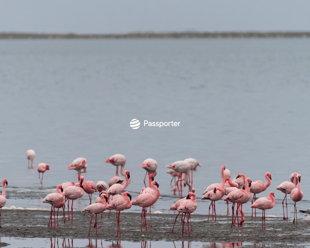 Walvis Bay: qué ver en la laguna más famosa de Namibia