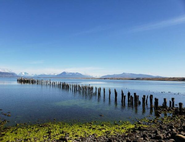 puerto natales