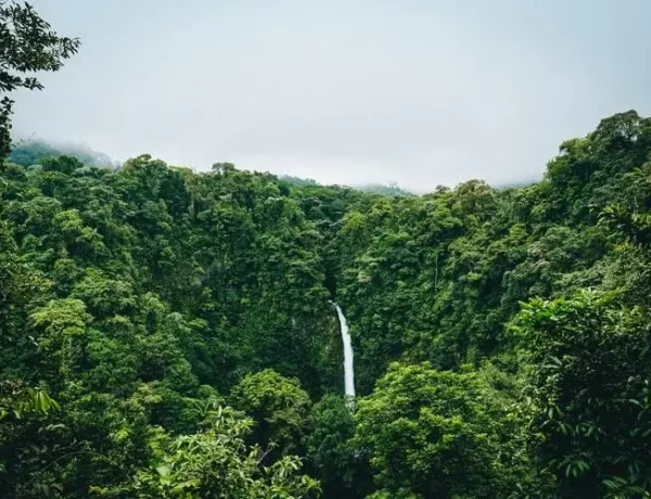 que faire à liberia