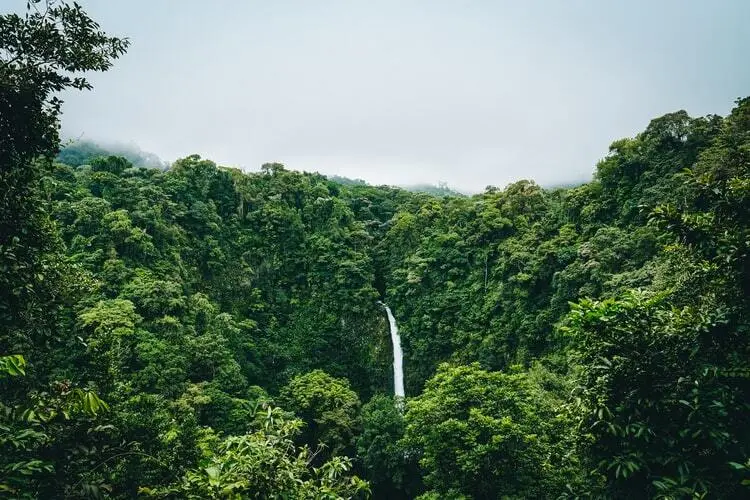 que faire à liberia