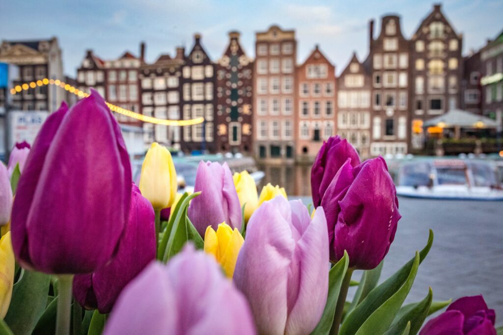 marche fleurs amsterdam