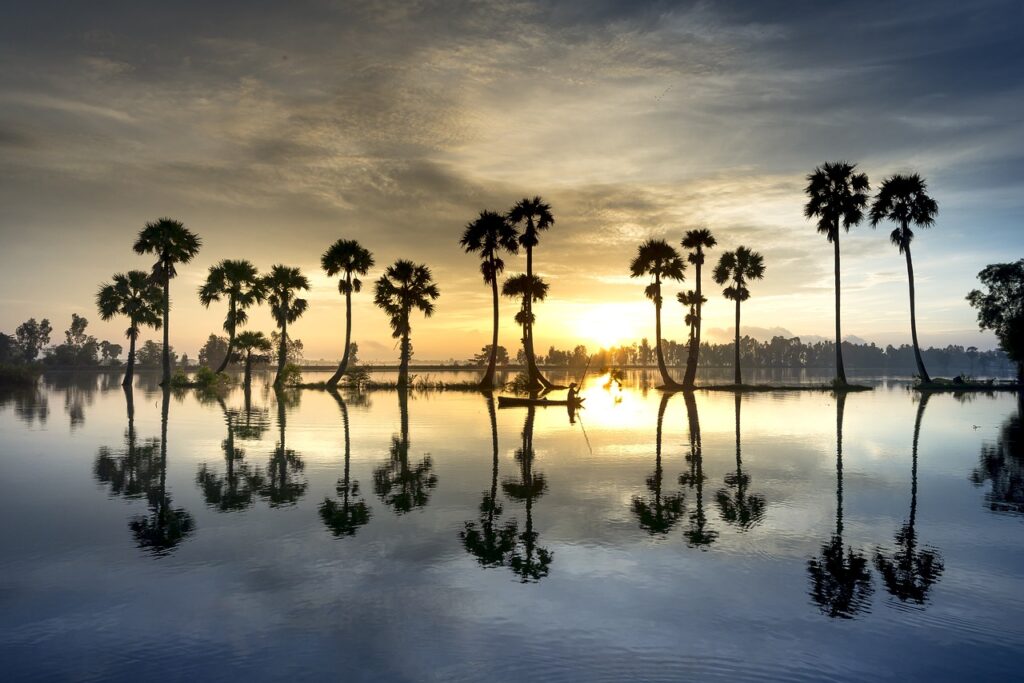 plage palmiers plages vietnam