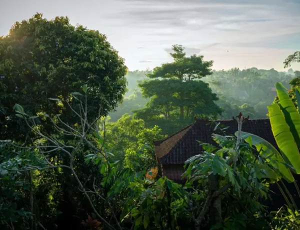 que faire à ubud