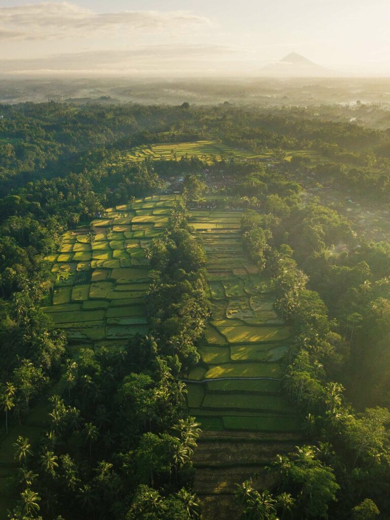 voyage ubud