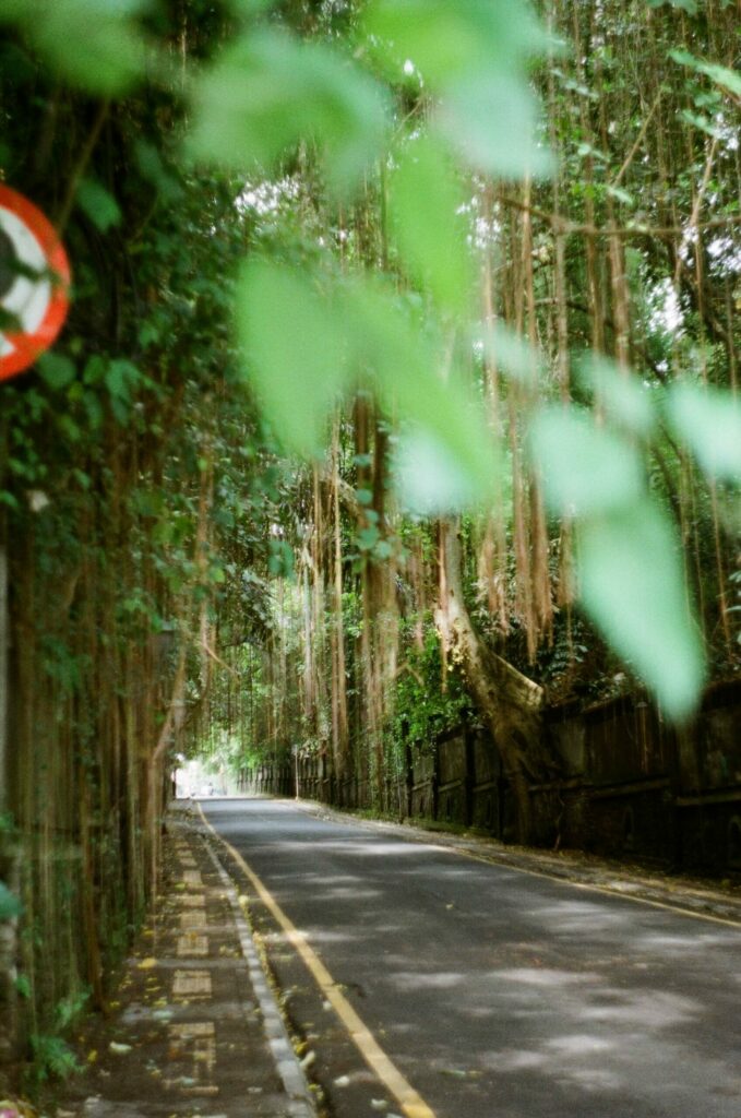 voyage ubud indonesie