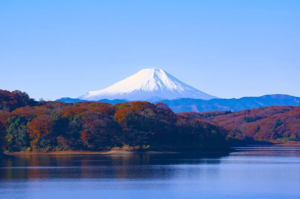 parc national tokyo japon