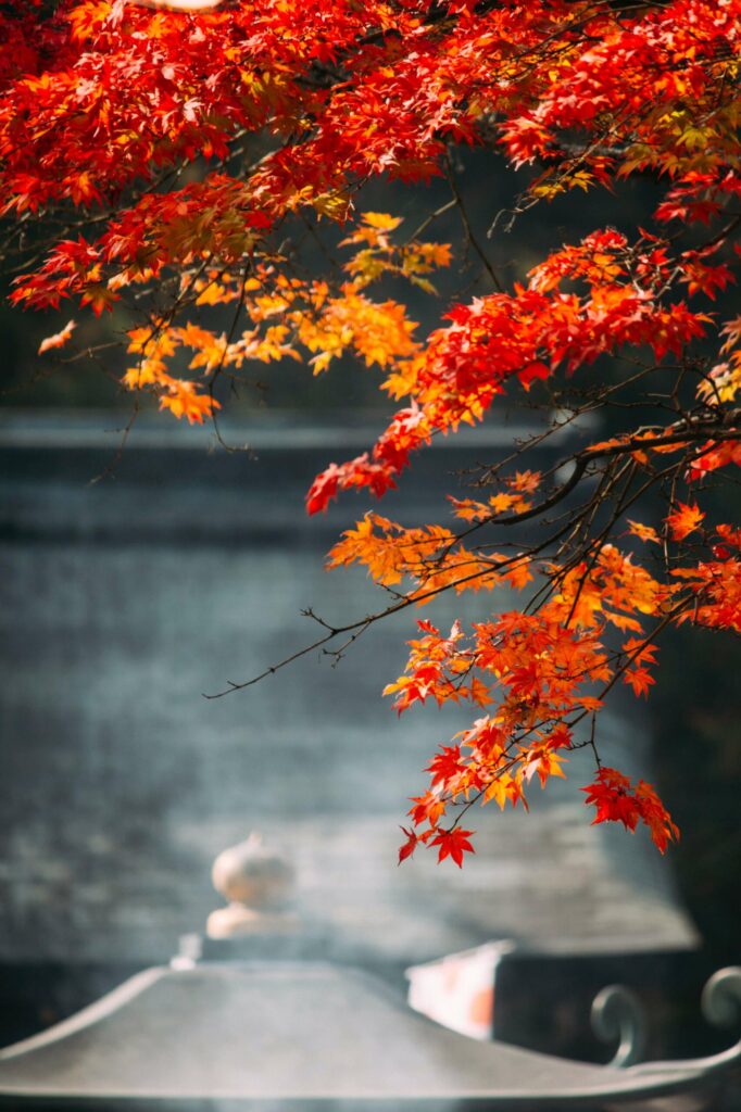 tourisme nikko japon