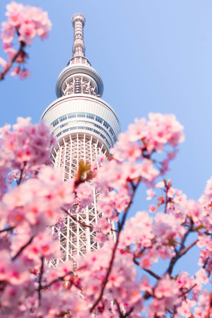 vacances au japon