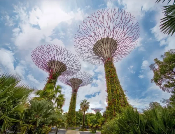 gardens by the bay