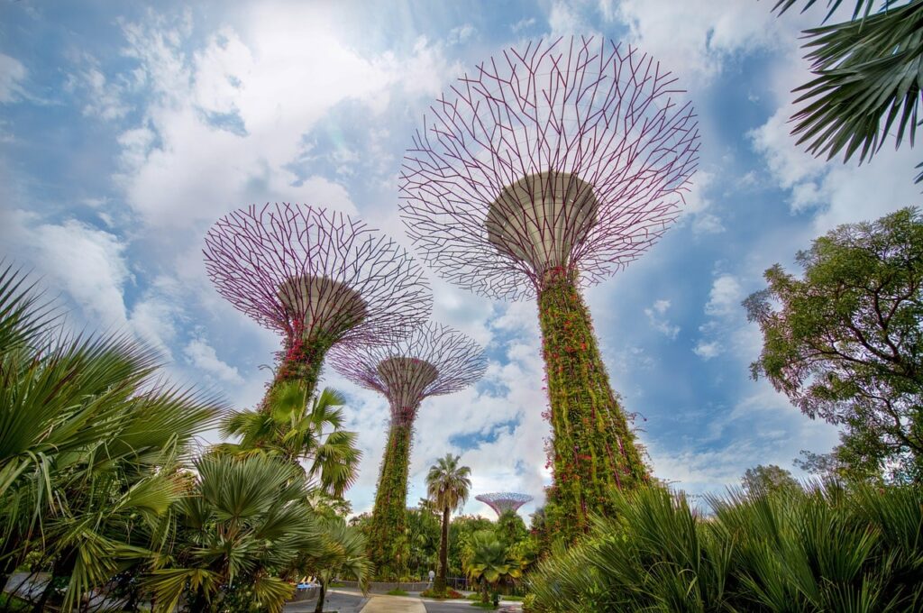 gardens by the bay singapour