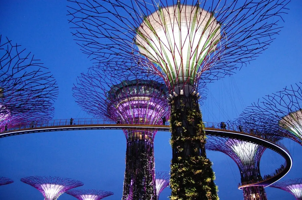 nuit gardens by the bay