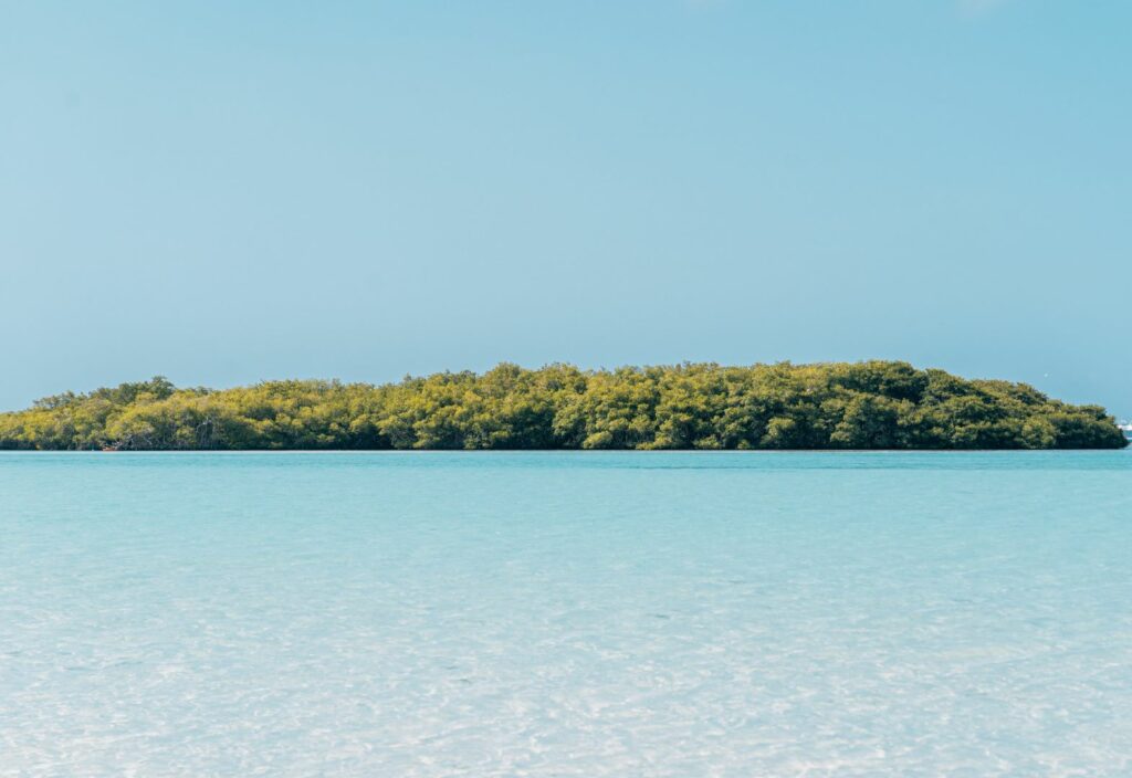 plage rincon republique dominicaine