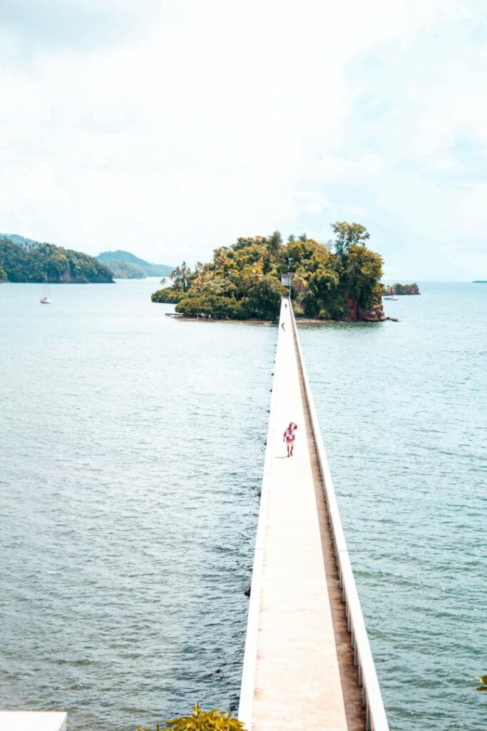 que faire ponts baie samana