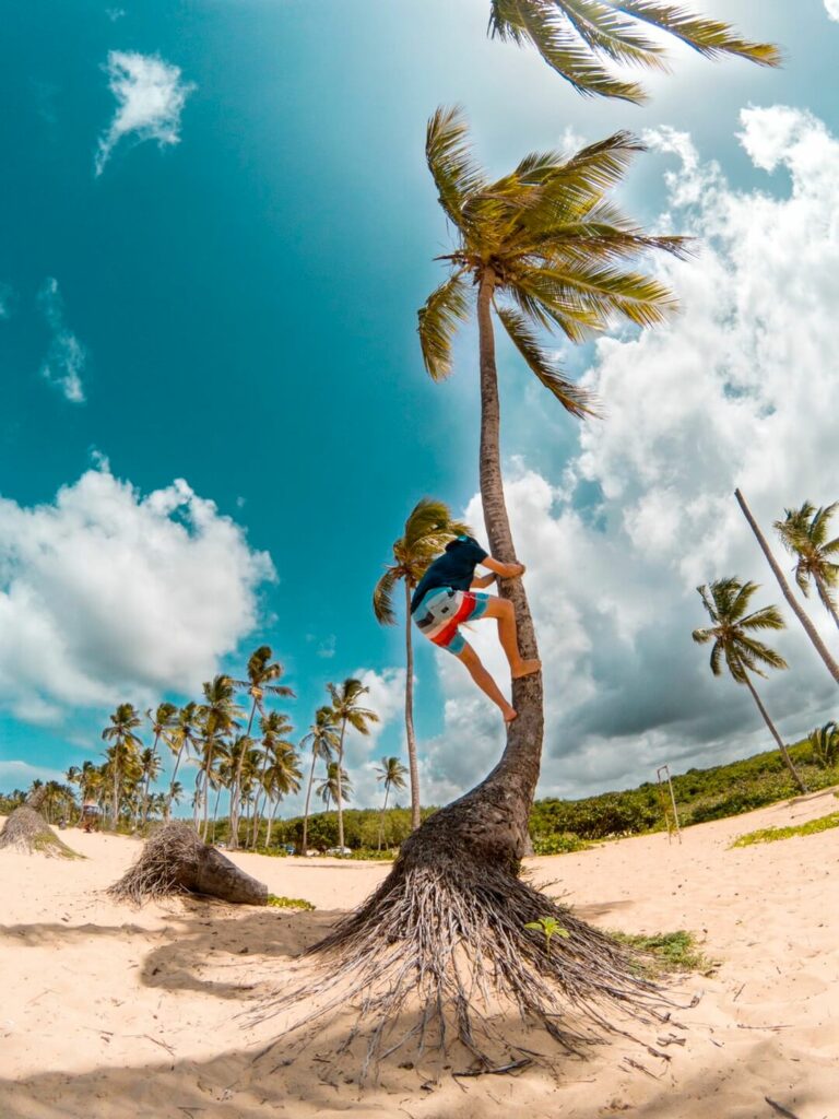 punta-cana-plage macao