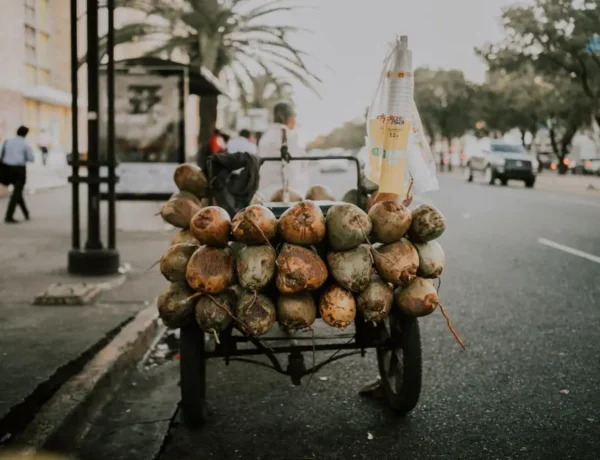 que faire voyage santo domingo