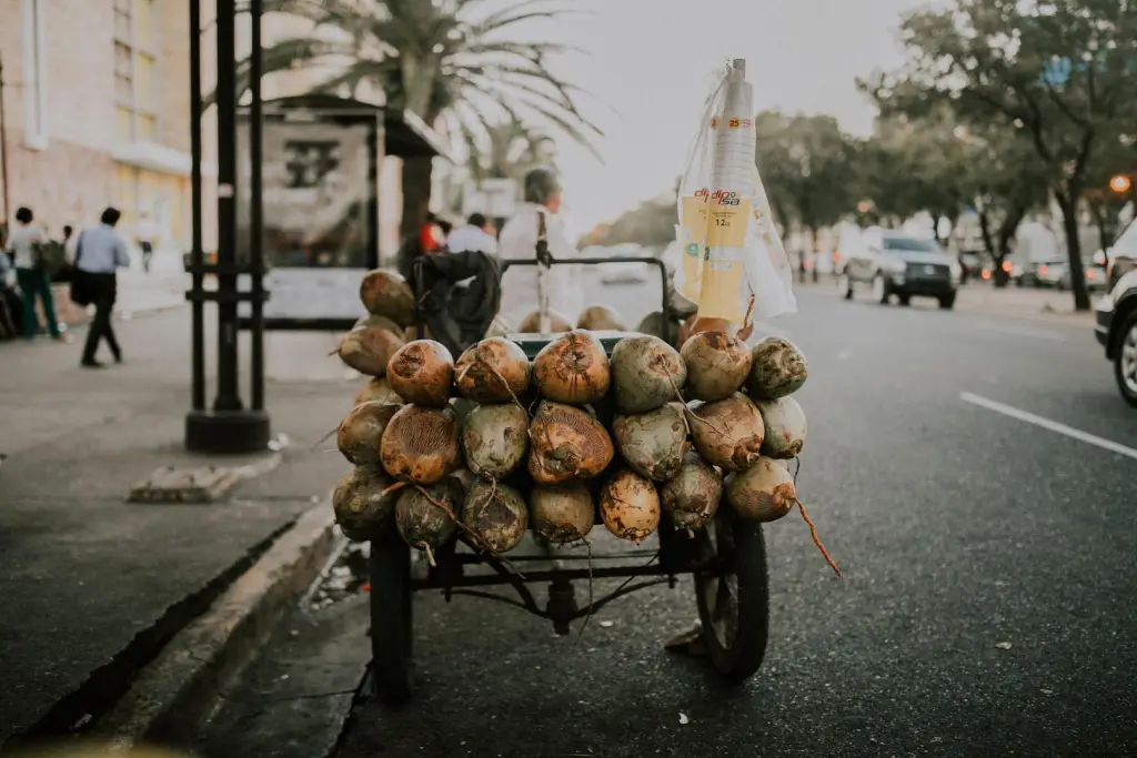 que faire voyage santo domingo