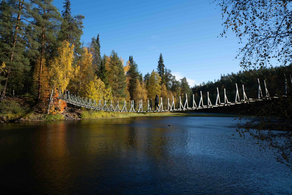 parc oulanka voyage rovaniemi