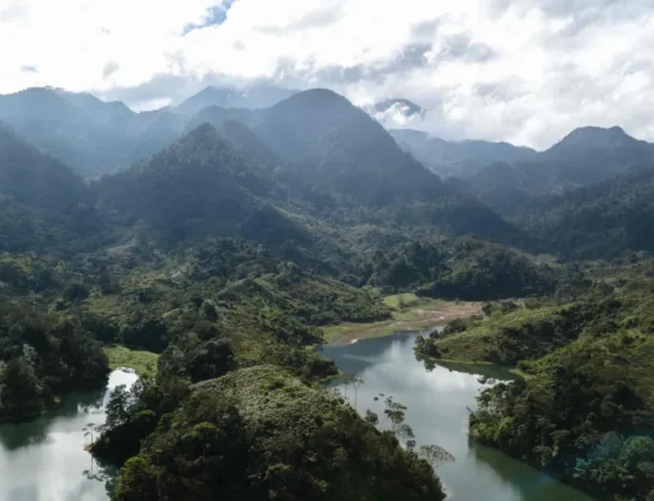 Hôtels au Honduras