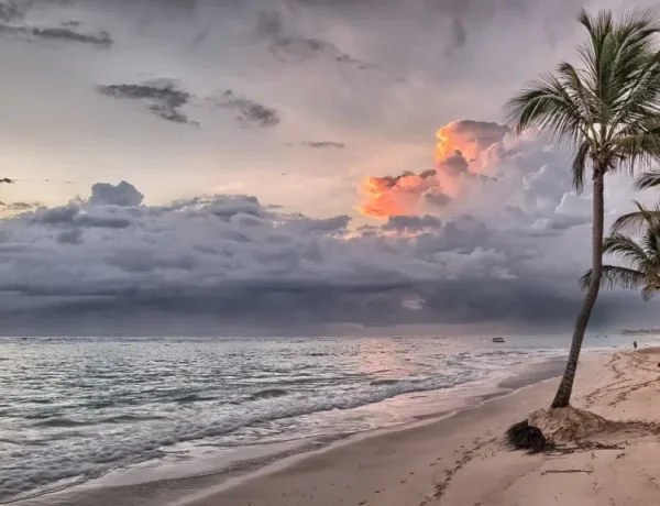 Que faire à La Ceiba