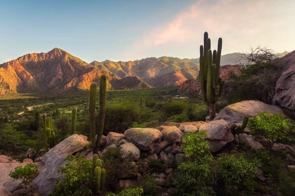 cafayate-argentine