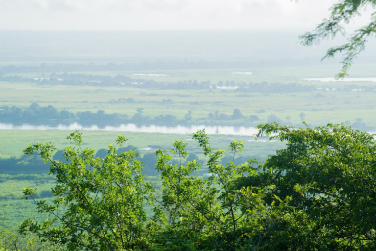 parc national kissama angola