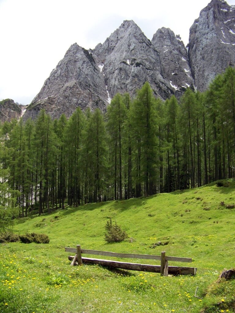 parc national-del-Triglav lac bohinj