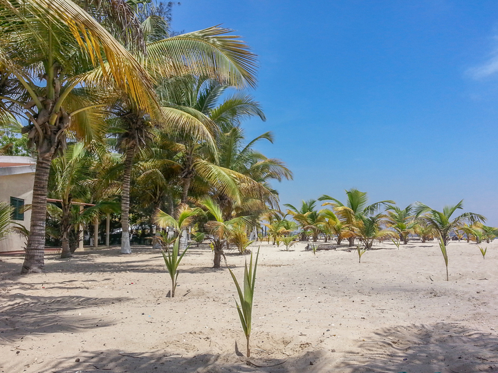 plage a ilha do mussulo