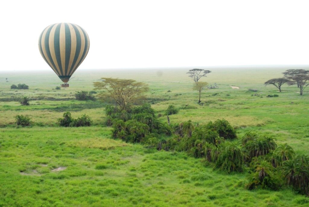 voyage ballon serengeti