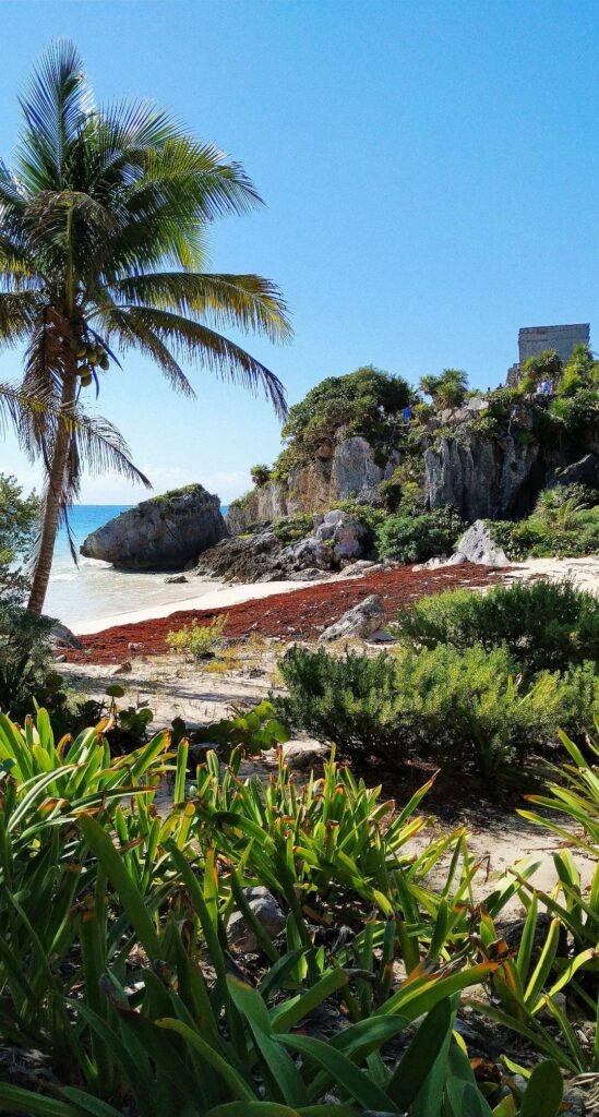 Plage-du-Carmen-Tulum