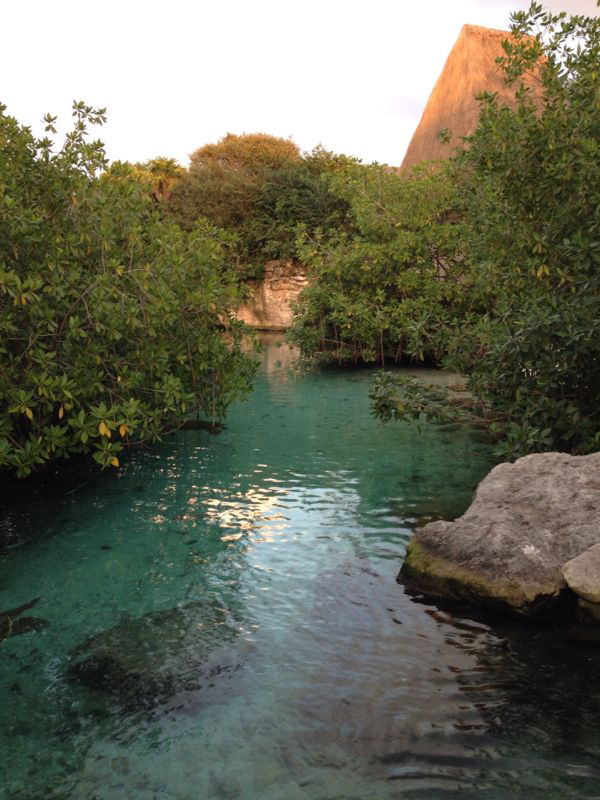 cenote-plage-du-carmen