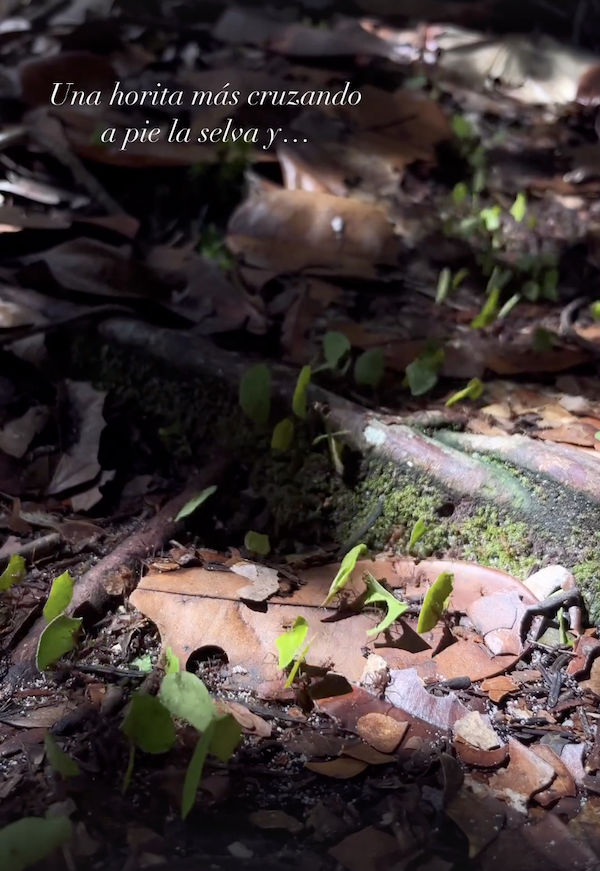 Itineraire-dans-le-park-de-Canaima