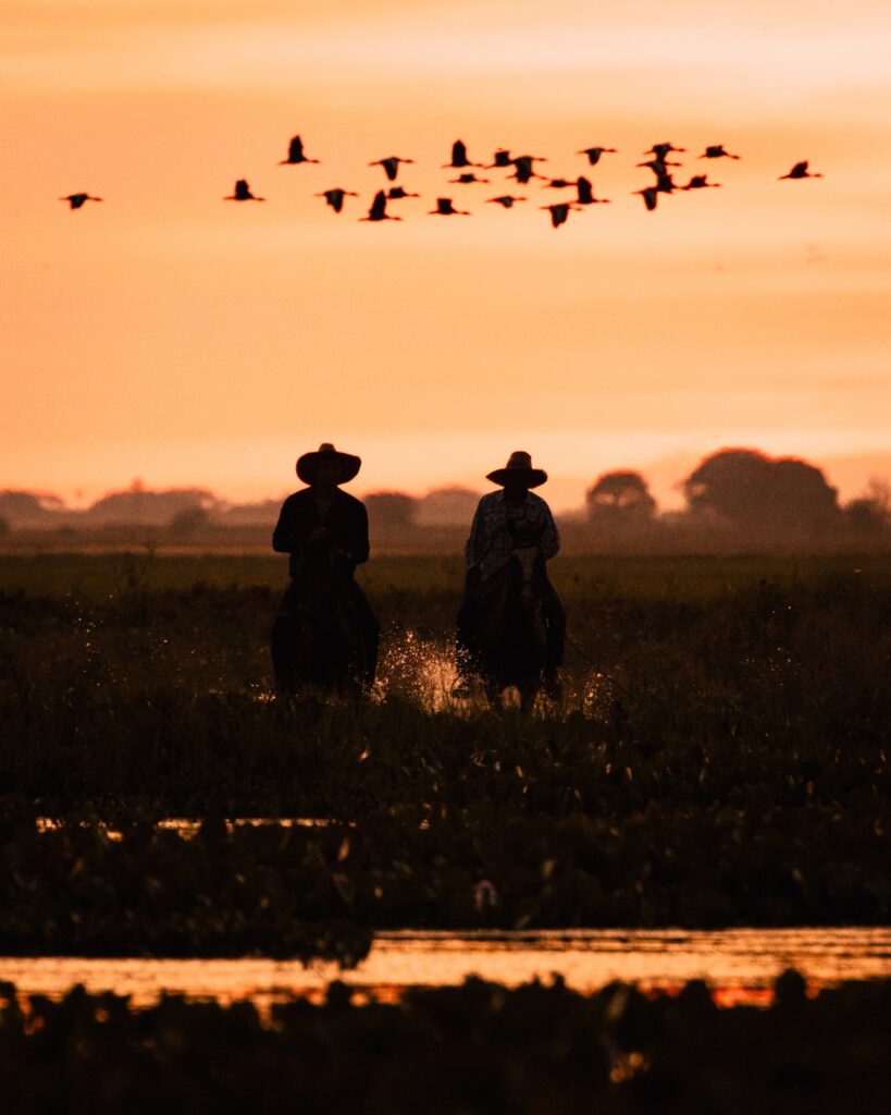 equitation-plaine-venezuela