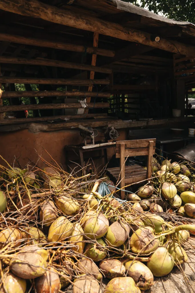 fruit-venezuela