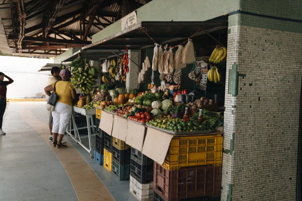 fruit-venezueliens-ile-marguerite