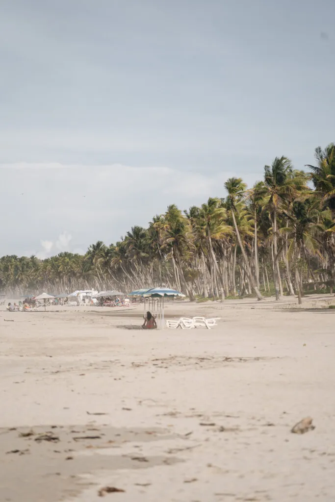 organiser-un-voyage-ile-marguerite-au-venezuela