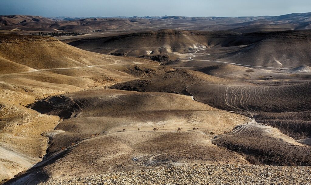 que-faire-au-masada-