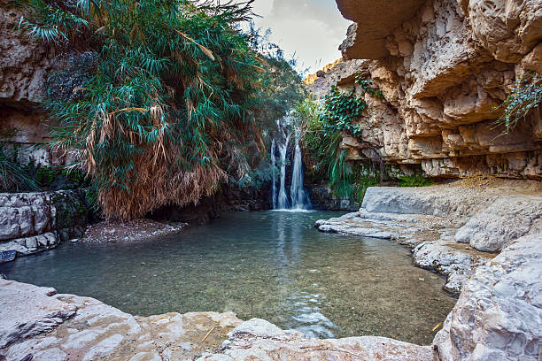 wadi-bokek-israel