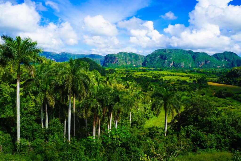 gastronomie-pinar-del-rio