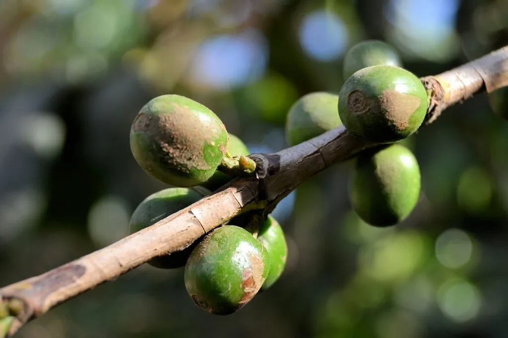 que-voir-a-vinales