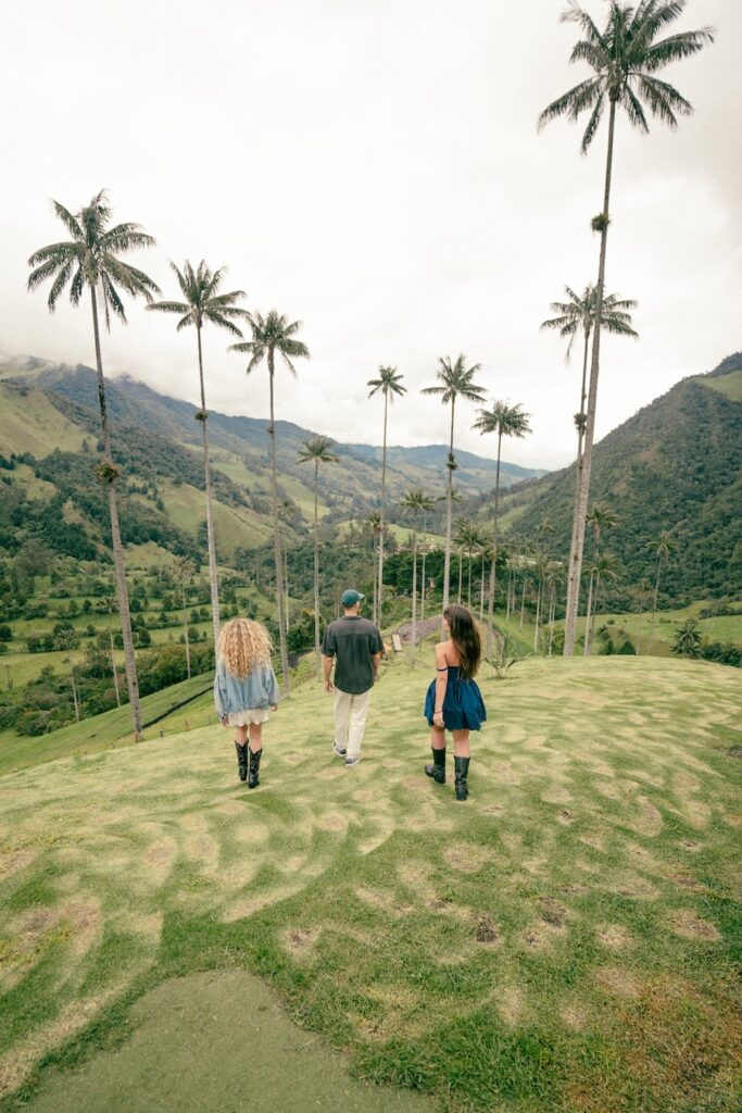 visiter-la-vallee-de-cocora