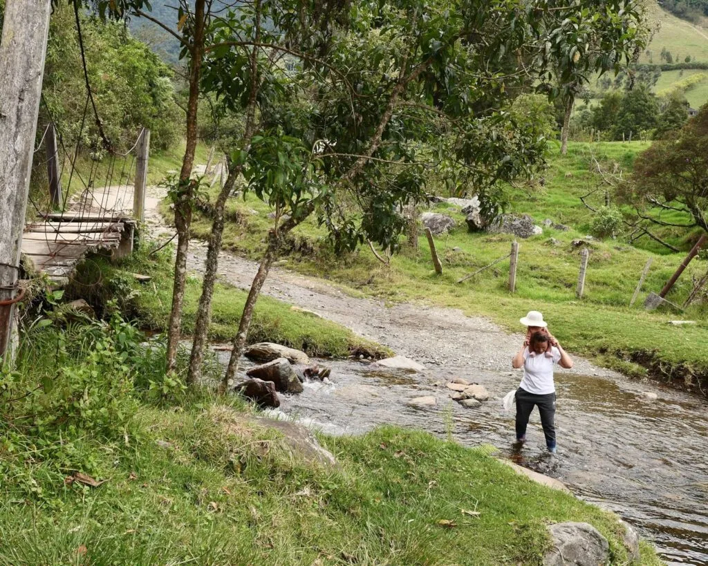 Comment préparer un voyage dans la vallée de la Cocora? - Passporter Blog