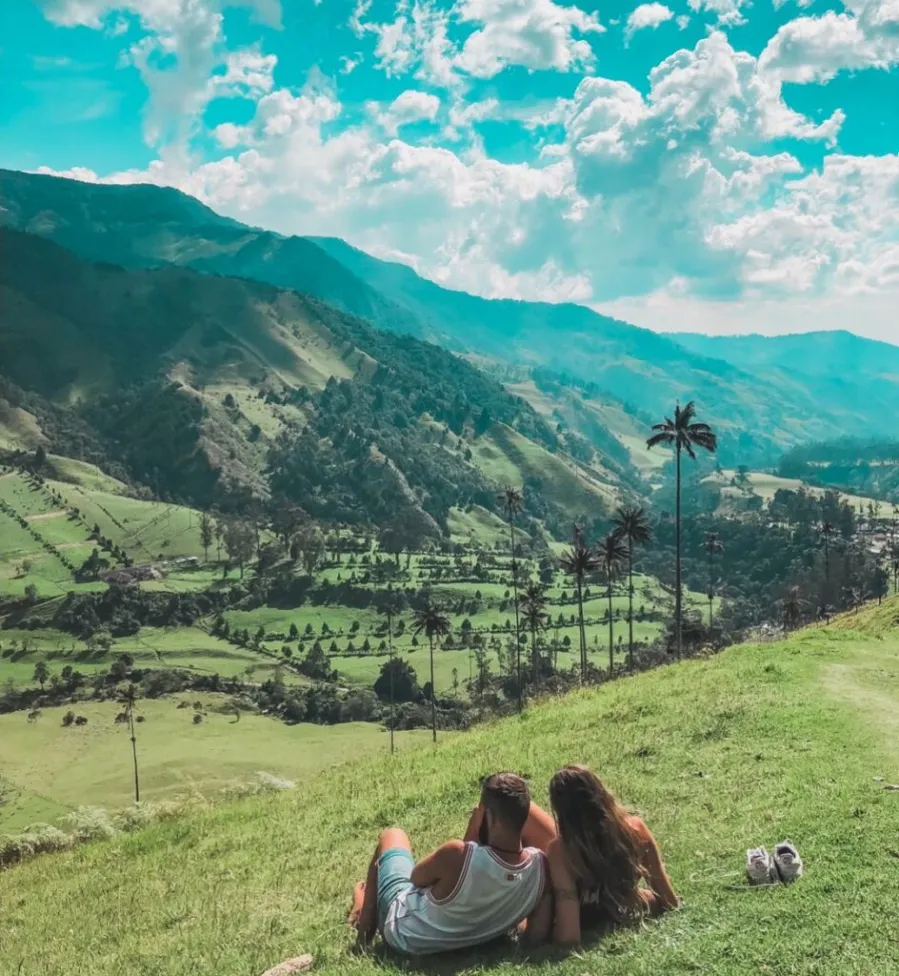 Comment préparer un voyage dans la vallée de la Cocora? - Passporter Blog