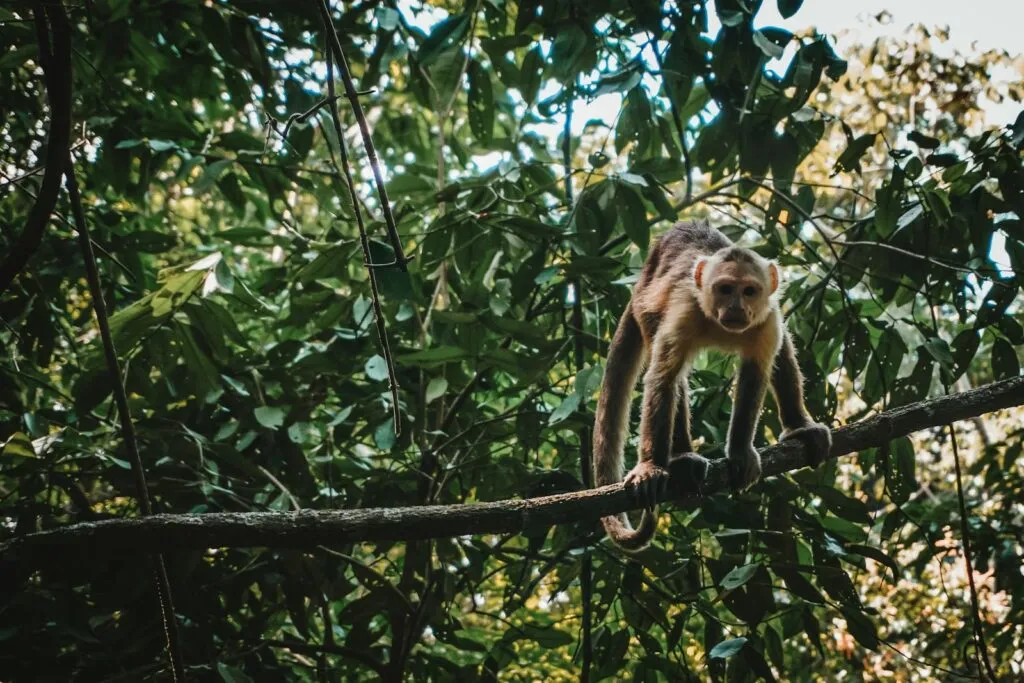 excursions-parc-tayrona