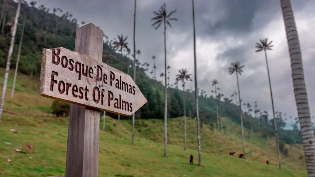 itineraire-de-voyage-vallee-de-cocora