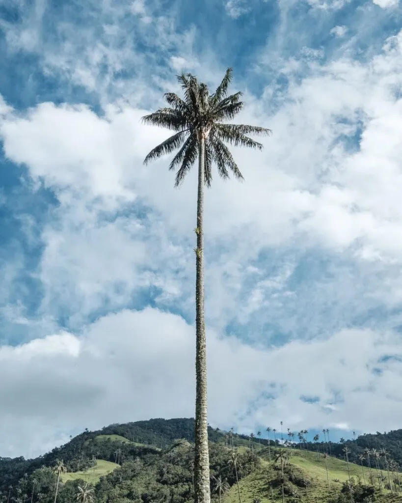 ou-sejourner-dans-la-vallee-de-cocora